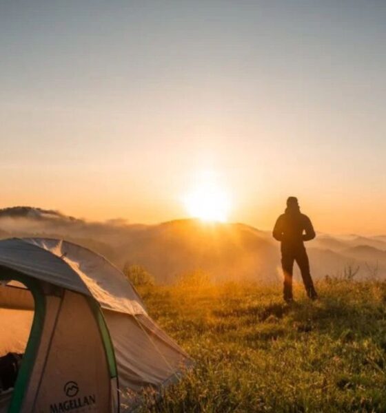 tarnplanen-the-ultimate-guide-to-camouflage-tarps-and-their-versatile-uses