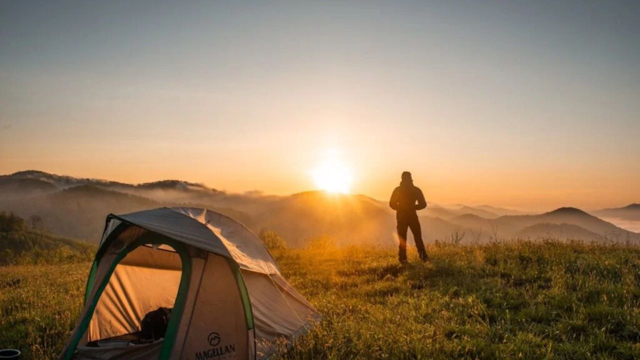 tarnplanen-the-ultimate-guide-to-camouflage-tarps-and-their-versatile-uses