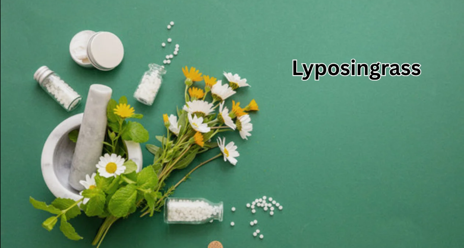 Lyposingrass: The Natural Marvel Redefining Wellness and Sustainability