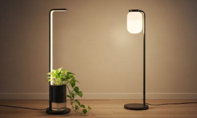 Marpesthtic: The Art of Blending Aesthetics and Functionality